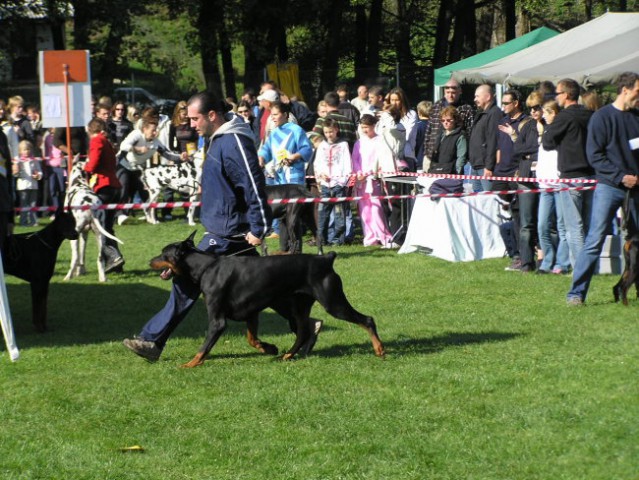 CAC Maribor 2007 - foto