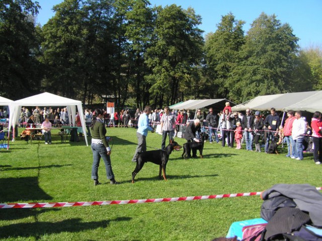 CAC Maribor 2007 - foto