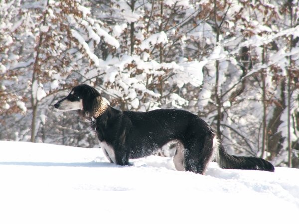 Kira 10 mesecev - foto povečava