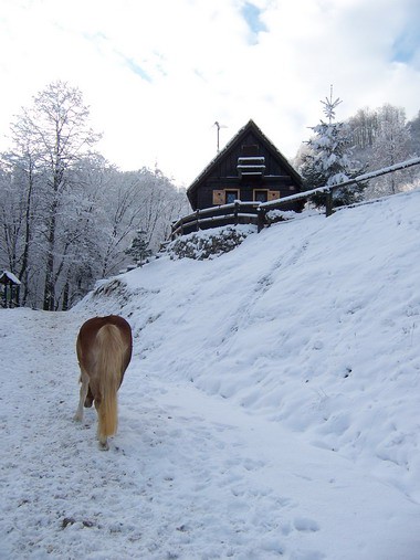 Tadej - foto povečava