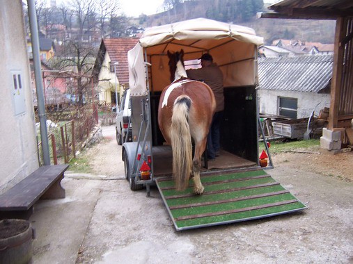 Tadej - foto povečava