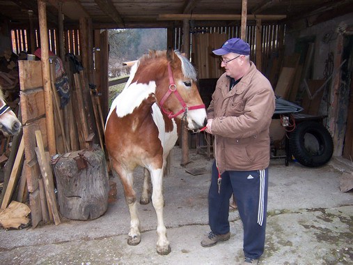 Tadej - foto povečava