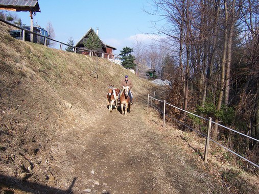 Tadej - foto povečava