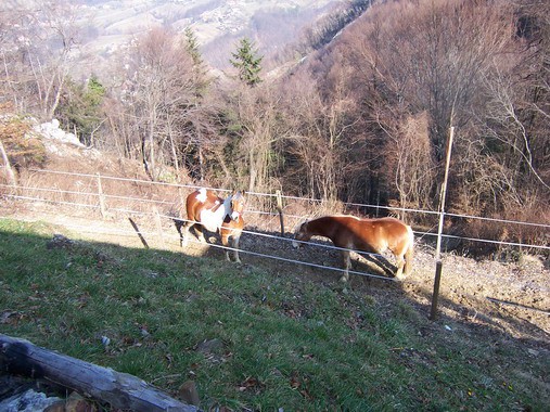 Tadej - foto povečava