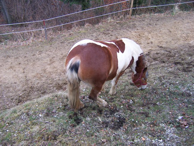 Tadej - foto povečava