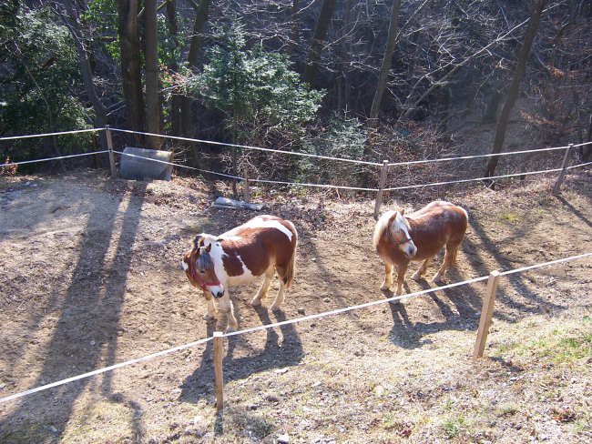 Tadej - foto povečava