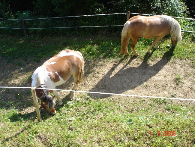 Tadej - foto povečava