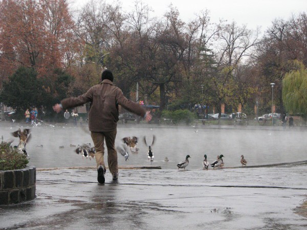 Juretov hobij:) Pa le nisem samo jaz otrok! (slikca zal noce na svoje mesto).