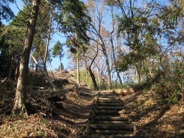 Stopnice prav do vrha 大桁山.