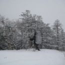Tamle nekje med drevesi n snegom je Mateja.