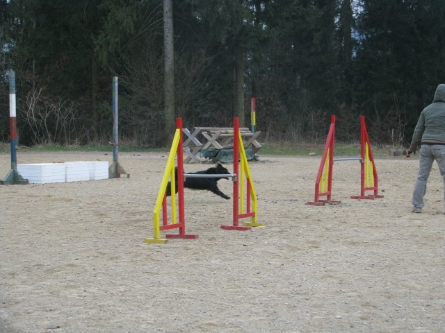 Agility4Fun - foto