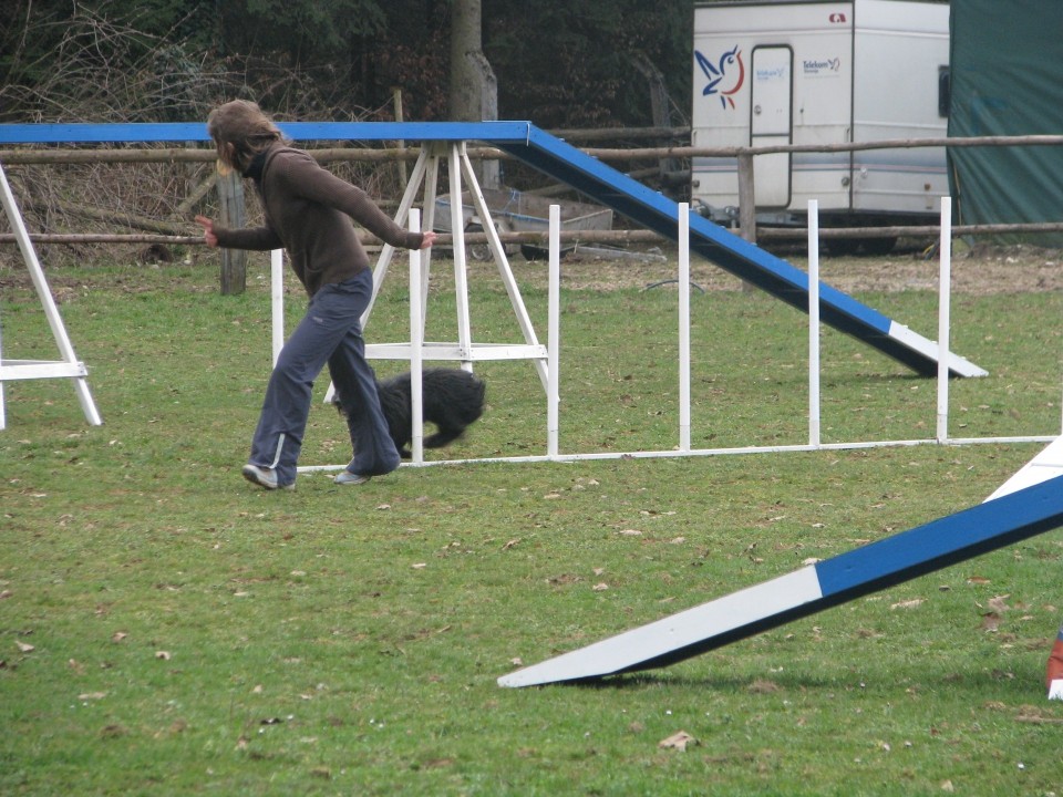 Agility4Fun - foto povečava