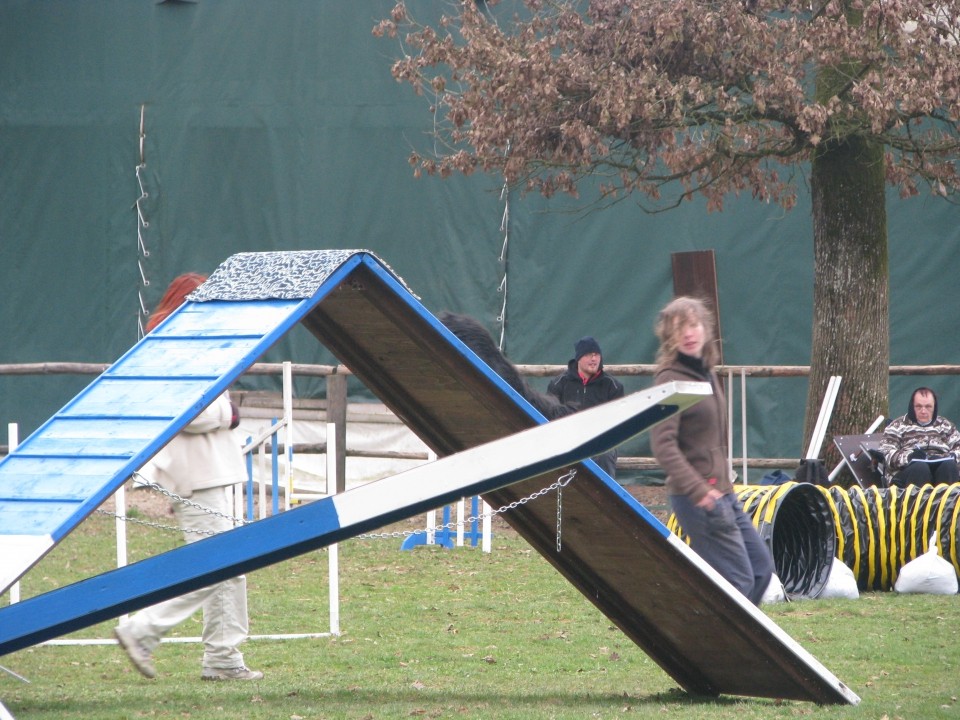 Agility4Fun - foto povečava