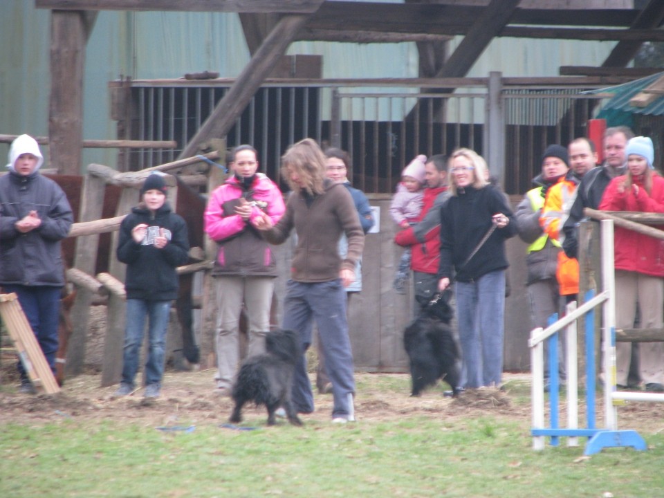 Agility4Fun - foto povečava