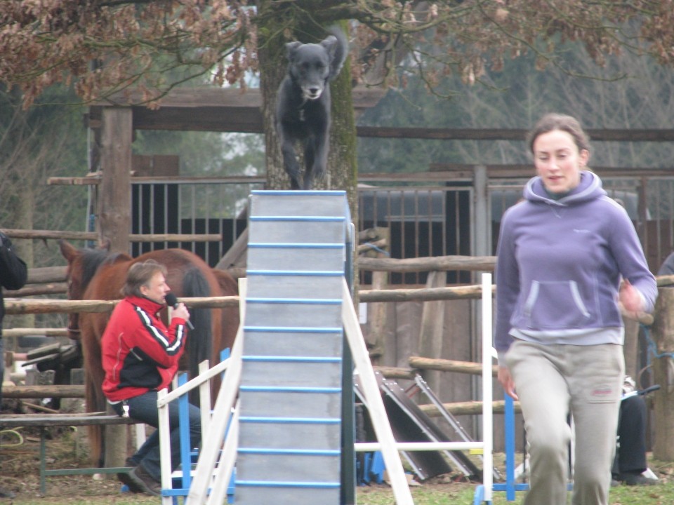 Agility4Fun - foto povečava