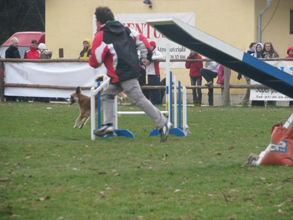 Agility4Fun - foto povečava