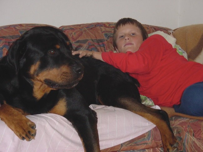 Rottweiler ROT - foto povečava