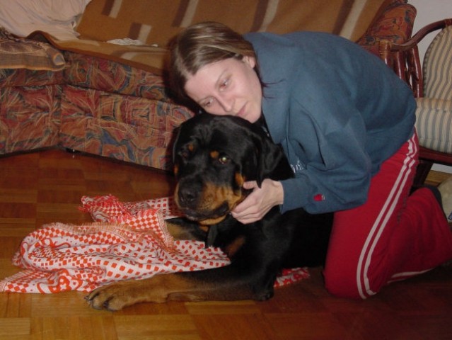 Rottweiler ROT - foto