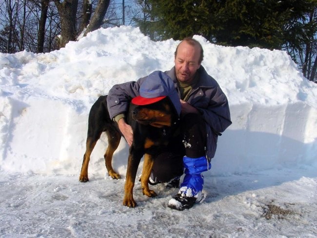 Rottweiler ROT - foto povečava