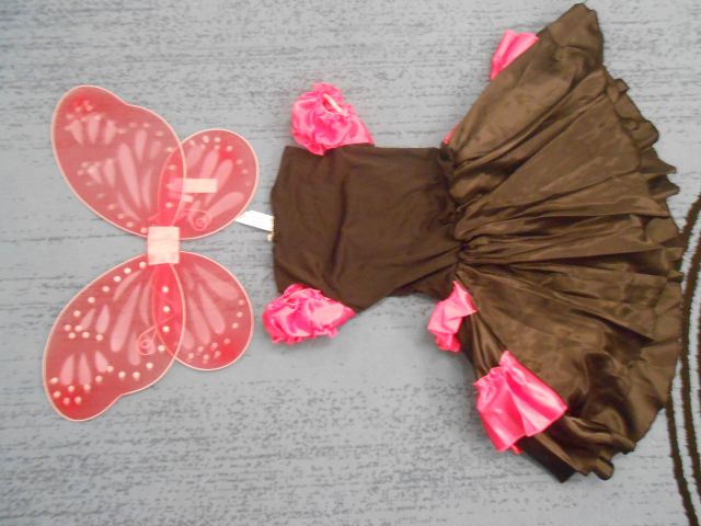 Pustni kostum metuljčica-mariposa - foto