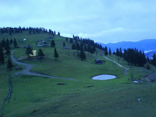 Gojška planina