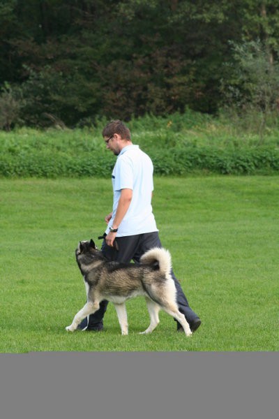 Tekma 2006