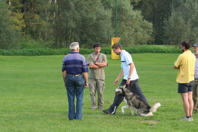 Tekma 2006