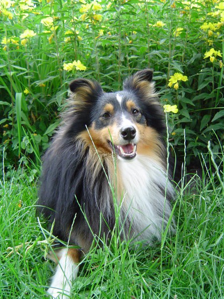 Adrian - foto povečava